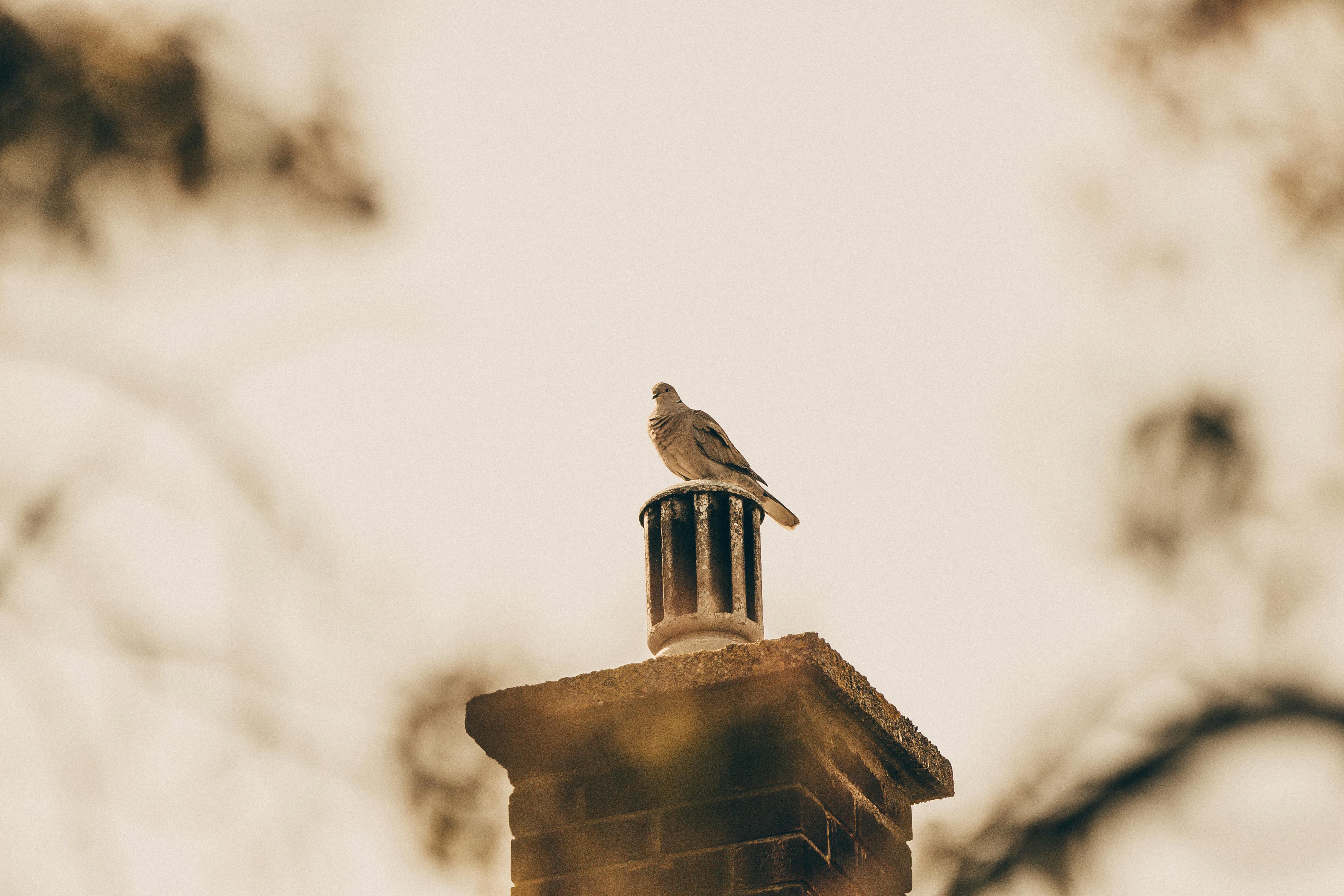 Expert Chimney Cap Installation in Miami, Florida